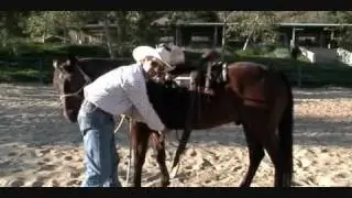 True Horsemanship -- A Life Long Journey