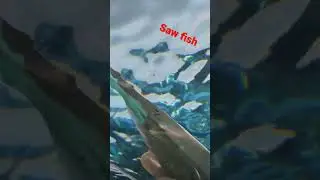 Saw Fish