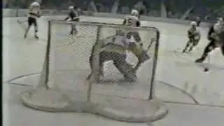 1984 NCAA Hockey Championship BGSU vs. Duluth - Final Goal