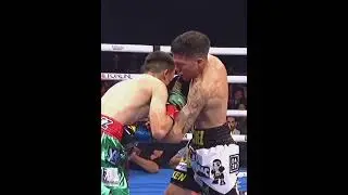 Jesse ''Bam'' Rodriguez - #boxing #boxeo #box #rodriguez #peleadebox #boxmexicano #tyson #campeon