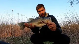 NYC Bass Fishing Tour - Baisley Pond Park, Queens