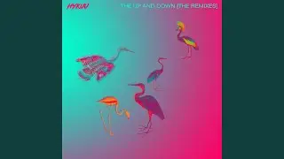 The Up and Down (Mallive Remix)