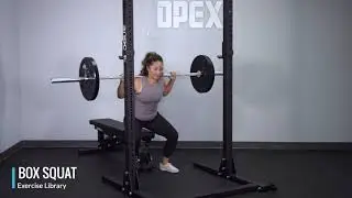 Box Squat - OPEX Exercise Library