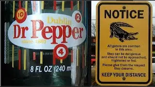Antique Bottle Hunting in Liberty & Dayton Texas