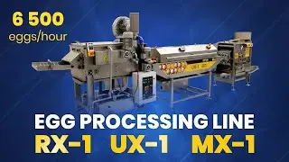 Egg processing line RX1 UX1 MX1 | Linia maszyn do przetwarzania jaj RX1 UX1 MX1