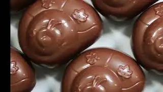 L'ESCARGOT PRALINE FRANCAIS