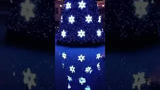 USA- Star Lights