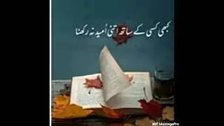 Urdu shaiyri status l Depp lines urdu.#shaikh poetry short #💔💯