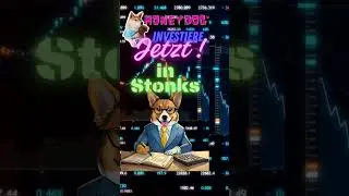 #money #moneydog #techno #finance #stonks
