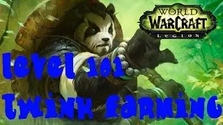 Legion Monk Level 101 Twink - Gold & Stonehide Leather Farming