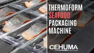 Automatic Thermoformer for Mussel Packaging: Integrated Conveyor Loading & Liquid Dosing System