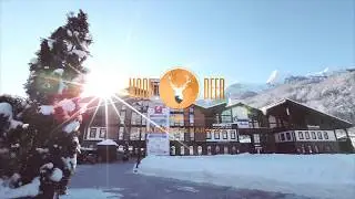 MoonDeer Restuarant