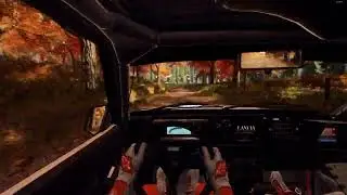 Dirt Rally 2