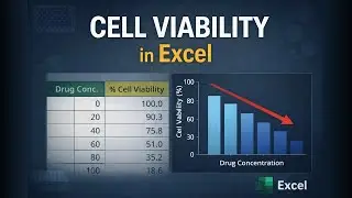 How to Calculate & Graph Cell Viability in Excel | Drug Response Analysis