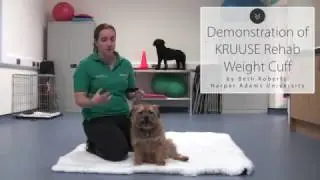 Demonstration of KRUUSE Rehab Weight Cuffs