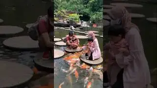 Lembang park and zoo #lembang #lembangparkandzoo #kebunbinatang #explorebandung #explorelembang