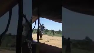 ٣٠ نوفمبر ٢٠٢٤