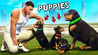 CHOP Tiene CACHORROS En GTA 5!