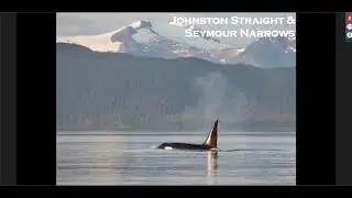 Victory Cruise Lines Alaska Expedition
