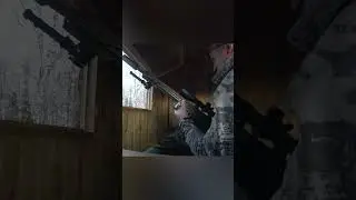 Санитарный отстрел Кабана (дистанция 80 метров)