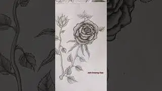 ❤ My Student's Drawing ❤| She is 14 years old🍃