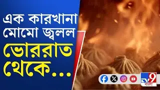 Kolkata News, Momo Factory Fire: রুবি আরবানার পিছনে ব্র্যান্ডেড মোমো কারখানায় বিধ্বংসী আগুন