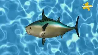 Nickelodeon (Global) - Shutdown in Ukraine (01/01/2026)