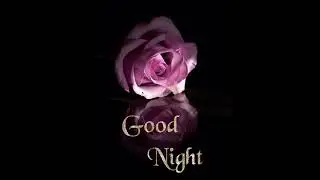 #short good night gif video
