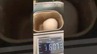 I used bread maker to make sourdough #shortsfeed #breadmaker #sourdough #share #sourdoughbeg #asmr