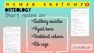 Short notes on auditory ossicles,hyoid bone,vertebral column,rib cage
