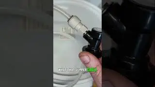 The Art of Cold Crashing and Fining Techniques