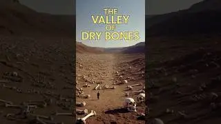 Can These Dry Bones Live? The Chilling Vision of Ezekiel Explained