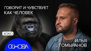 САМЫЕ УМНЫЕ ЖИВОТНЫЕ ПЛАНЕТЫ - ОНИ КАК ЛЮДИ?