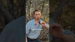 Juniper Gives Food, Fire, Shelter, Medicine, & Bows. Full video &uarr;