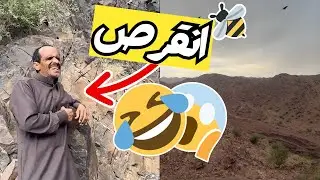 رحلة للنحل | حاور الطير وانقرص 😂🐝