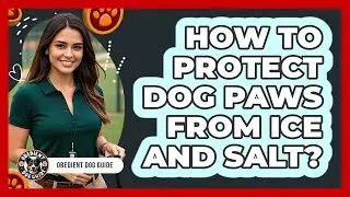How to protect dog paws from ice and salt?