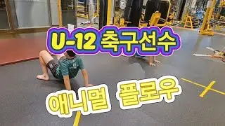 U-12 축구선수 '애니멀 플로우'