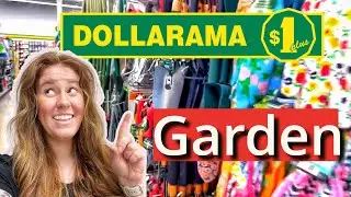Приобретите ЭТИ садовые принадлежности от Dollarama!