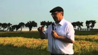 Blackleg Resistance Evaluations - Farming Smarter Disease Crop Walk 2014