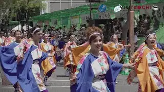 Kochi Yosakoi Festival 2019