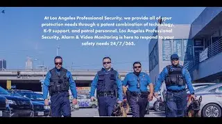 LAPS- LA Pro Security - Services Explained