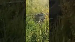 #fannyvideo #foryou #funny #funnyvideo #funnyshorts #meme #shortvideo #memes #viralvideo #epic
