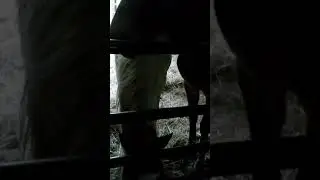 trying lime sand to reduce mud