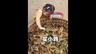 Human babies go to buy chickens! #Cute kids series #The daily life of little kids #The busiest kid
