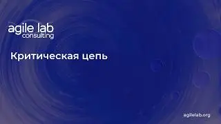 Критическая цепь - Алексей Алексеев
