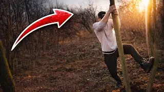 I Tried to Cut This Tree in 5 Minutes