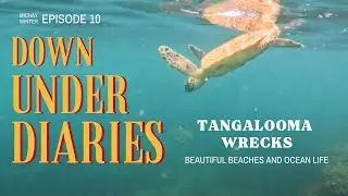 Snorkeling between shipwrecks |  Moreton Island | Down Under Diaries Ep 10