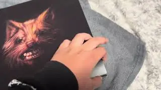 Unboxing THE SEER by Swans