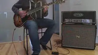 Guytron GT100 F/V on 6L6 style setting with Frank Bros Signature