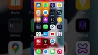 The scammer Erik Cagi